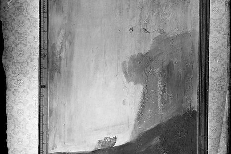 Semi-Sunken Dog Mural