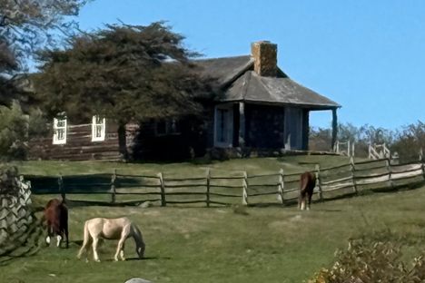 Deep Hollow Ranch