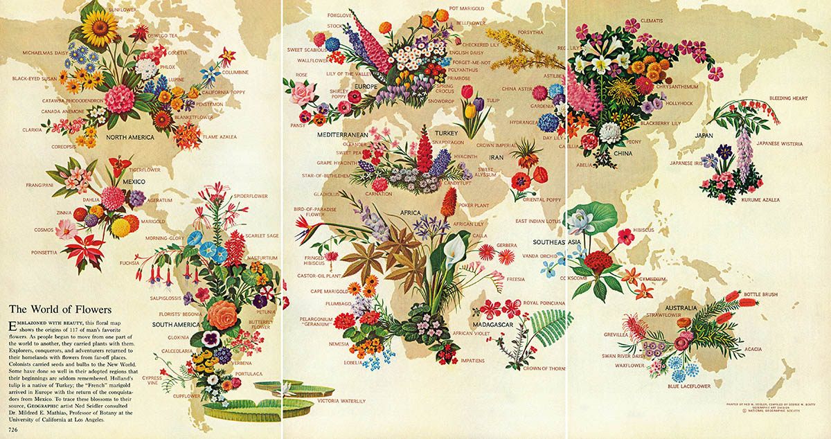 The World of Flowers, May 1968.