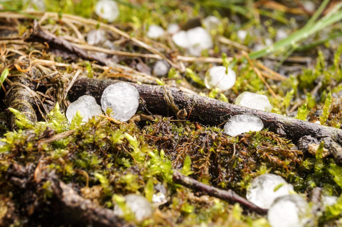 When studying hail, time is of the essence.