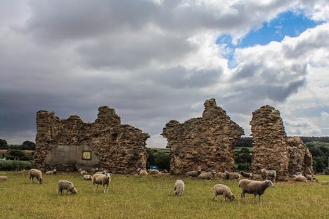 Sheep graze the Regal Ruins.