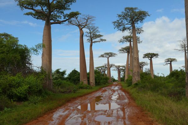 Madagascar: A Country Full Of Breathtaking Nature