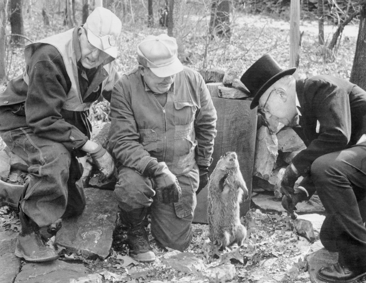 The scene at Gobbler's Knob in Punxsutawney, Pennsylvania, on Groundhog Day, 1973.