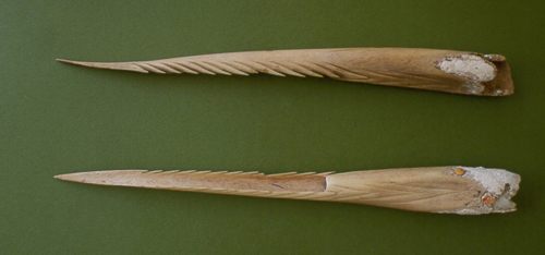 Human bone spear tips 