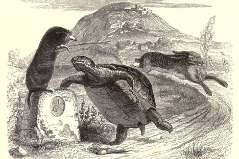 An illustration from 1855 of The Tortoise and the Hare.