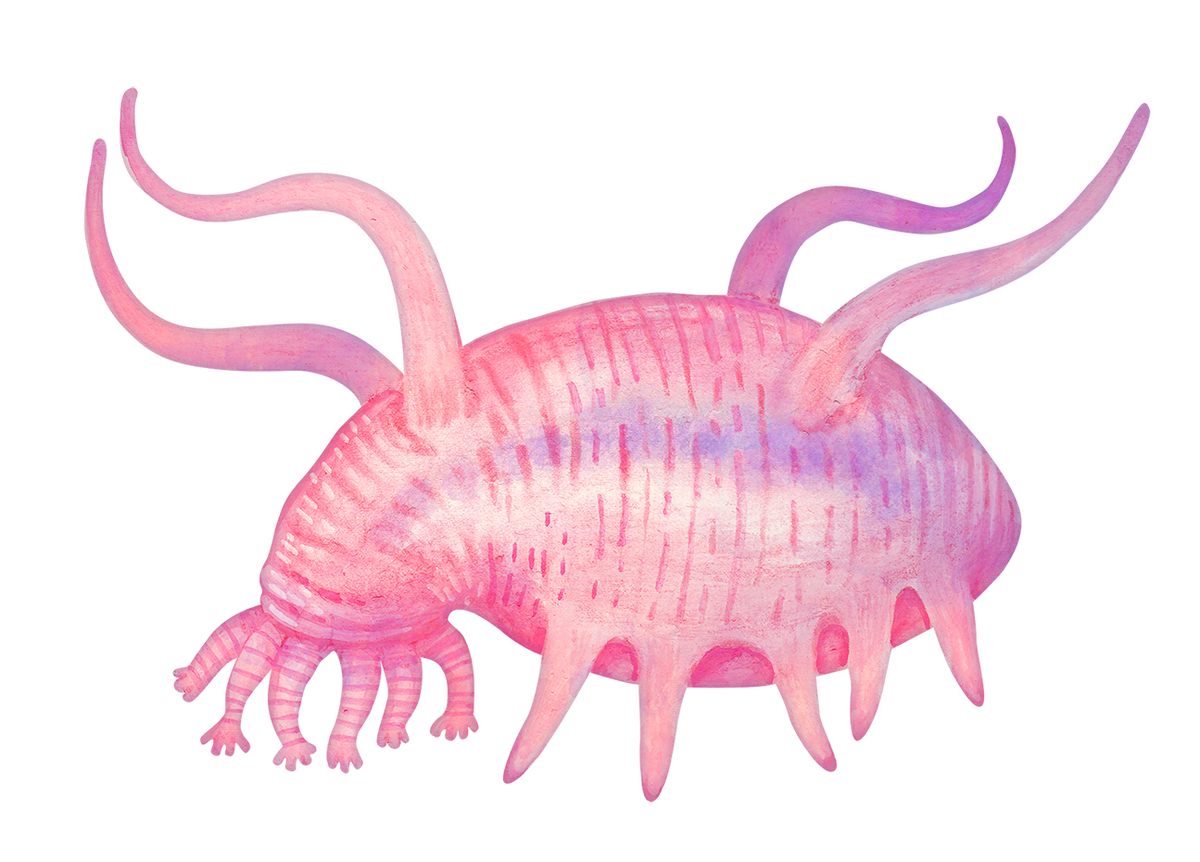 A sea pig is a sea cucumber, and related to neither pigs nor cucumbers. It's akin to sea urchins and sea stars.