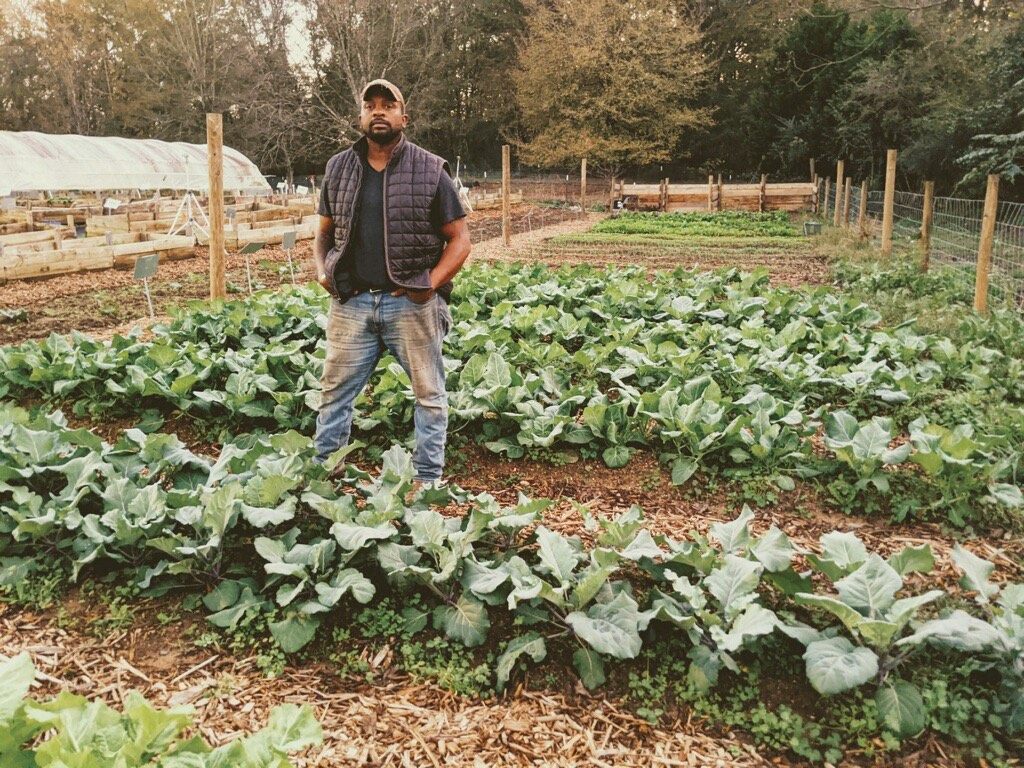 Jon Jackson of Comfort Farms stands among the collards.