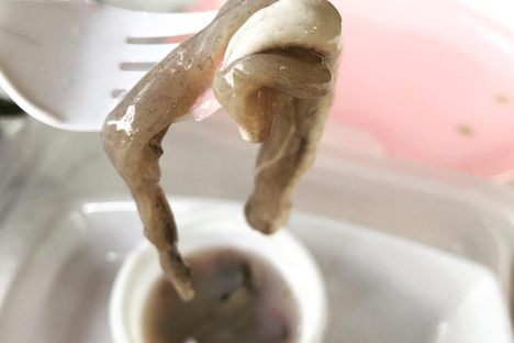 People say fresh tamilok tastes even better than a raw oyster.