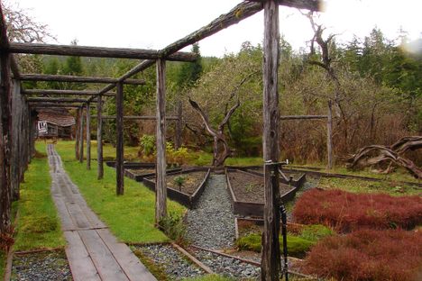 Cougar Annie's Garden