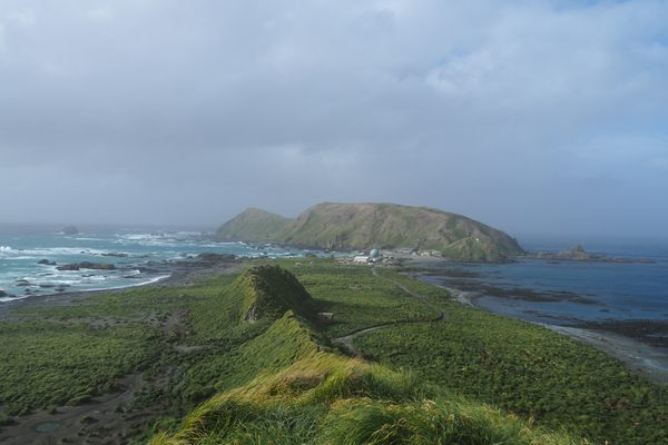 Macquarie Island lengthwise, the research station at center.