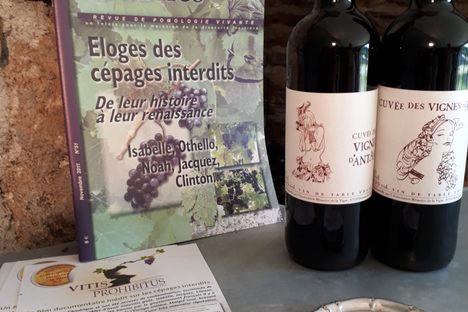 Bottles of Cuvée des Vignes d’Antan.