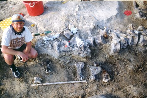 The foot, in situ.