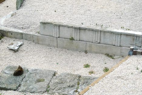 Jardin des Vestiges - necropolis wall - "triglyphes" and "metopes"