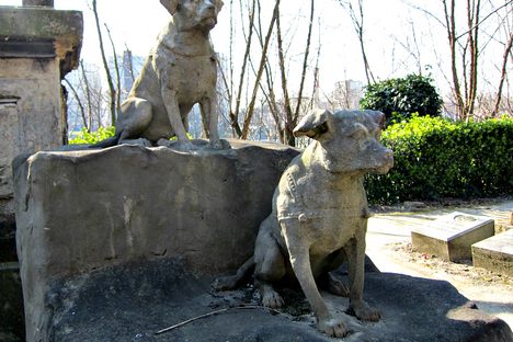 Notes from the Field: The Cemetery of the Dogs