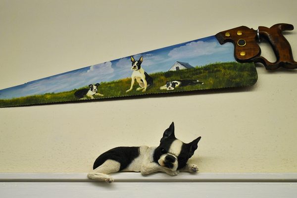 Boston terriers sawin' wood