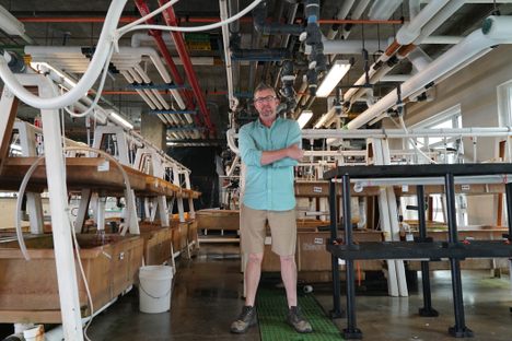 Meet Dave Remsen, director of Marine Research Services at the Marine Biological Lab, which was founded in 1888.