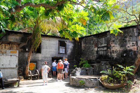 Callwood Rum Distillery