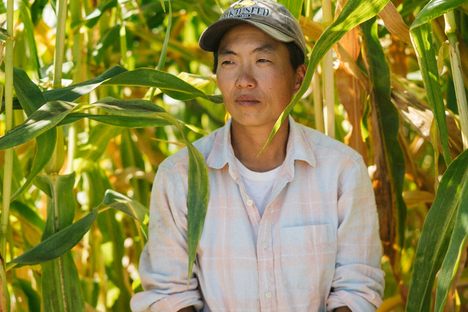 Kristyn Leach is the latest in a long line of Asian-American agricultural trailblazers.