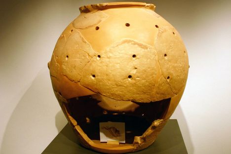 Glirarium