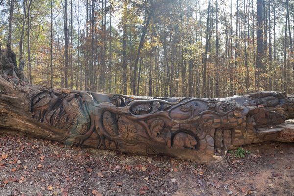 Panorama of log art at Umstead Park 