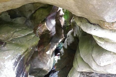 Natural Bridge State Park