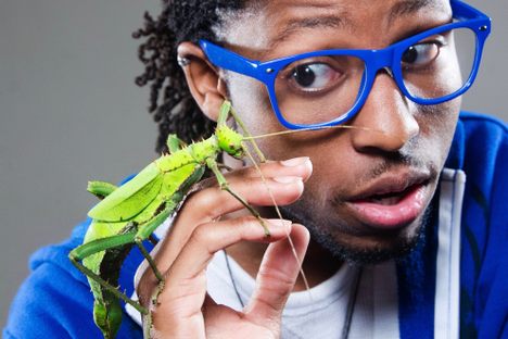 How to Choose the Pet Bug That's Right for You
