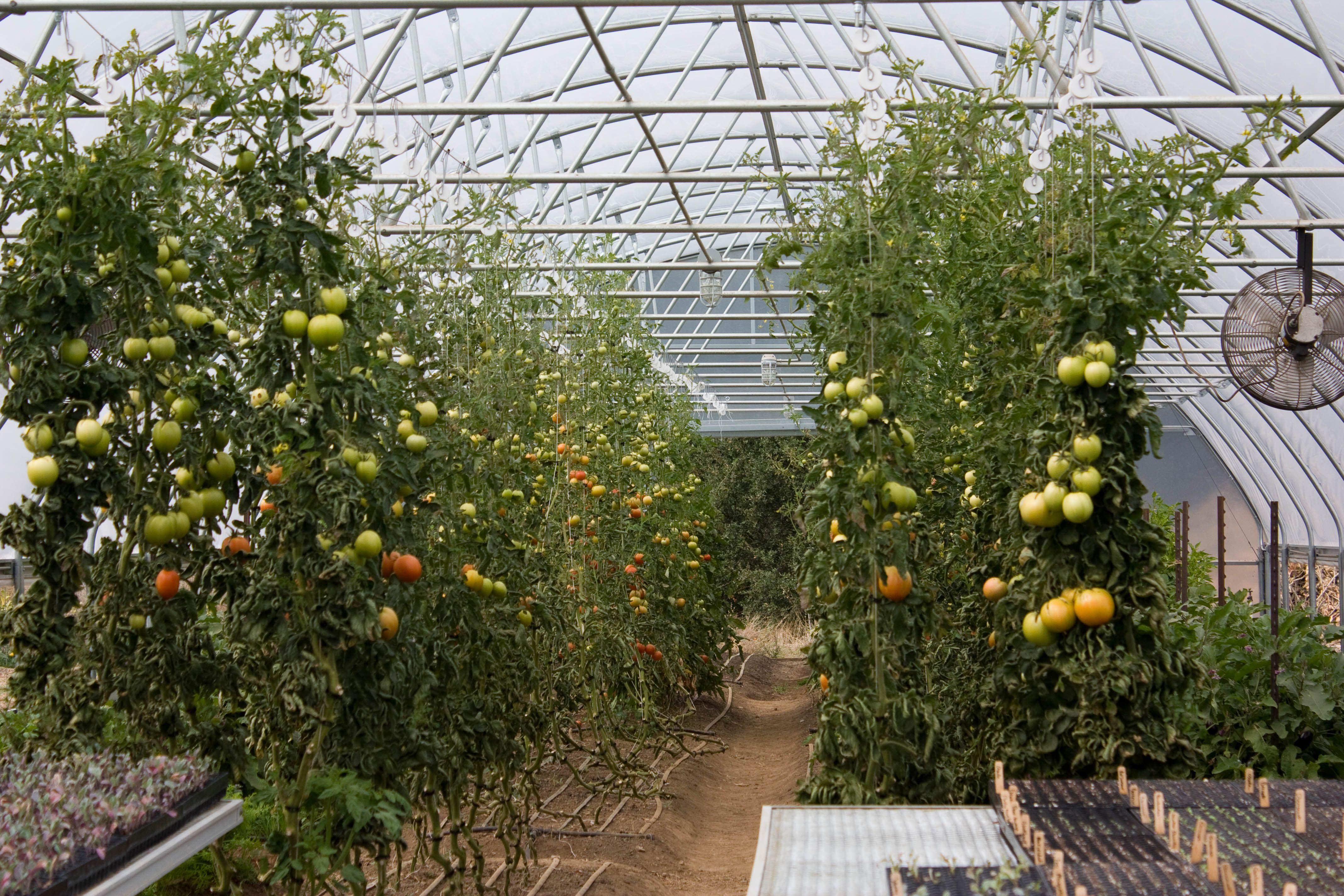 The French Laundry greenhouse, which is on the restaurant's premises.