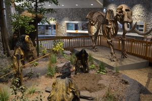 A display at Mastodon State Historic Site.