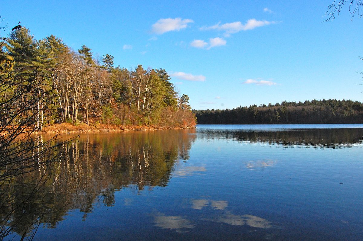 Your typical Walden Pond photo, without a human in sight.