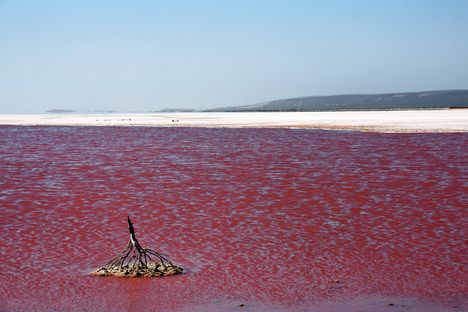 Hutt Lagoon