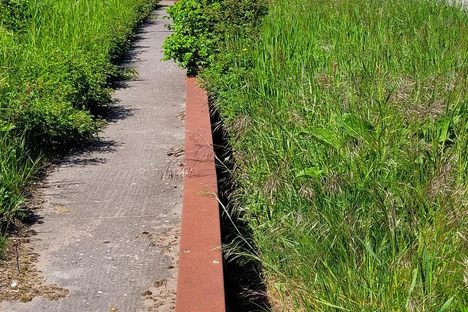 Smygehuk Snake Barrier