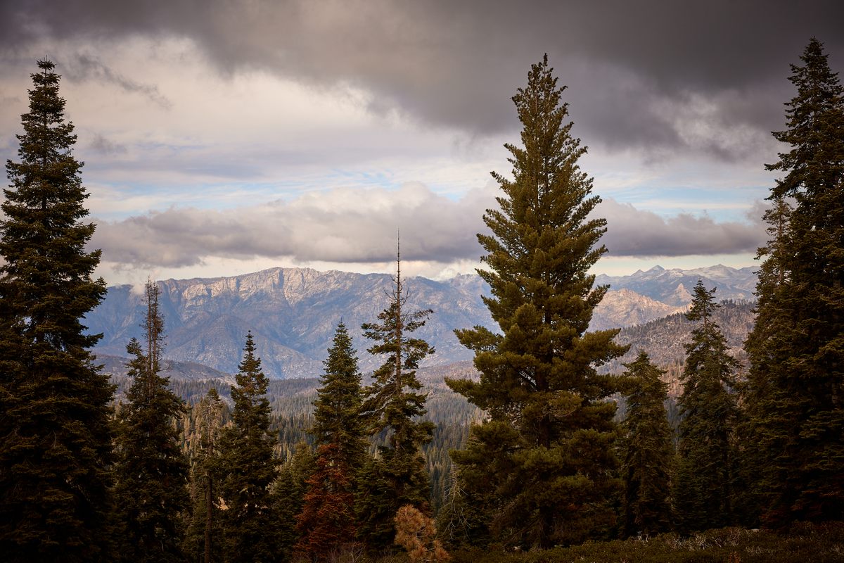Sequoia National Park also offers stunning views of the surrounding mountains.