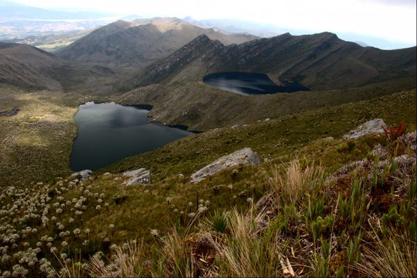 Sumapaz Páramo.