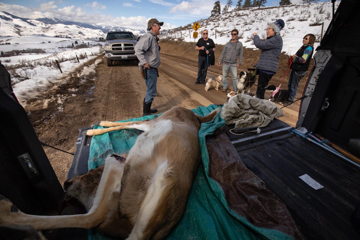 Local passersby stop to chat with Ken Bevis while a salvage deer lies in the bed of his truck.