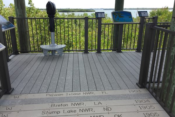 The Cenntennial Walk - a boradwalk that overloks Pelican Island.  Each new NWR get’s its name inscribed in a chronological boardwalk.