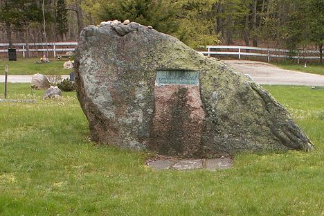 Pollock and Krasner's graves.