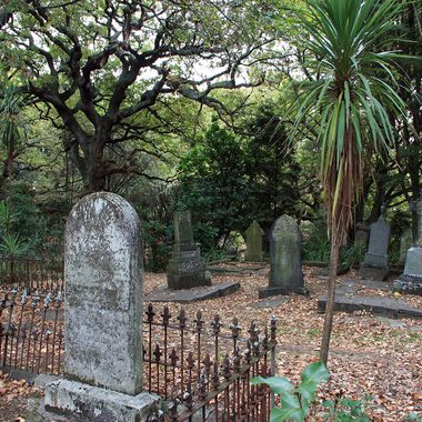 The cemetery grounds.