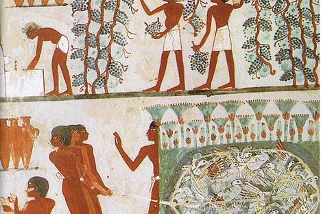 Tomb paintings can tell us a lot about the Ancient Egyptian diet because they often depict food offerings, hunting, and agriculture.