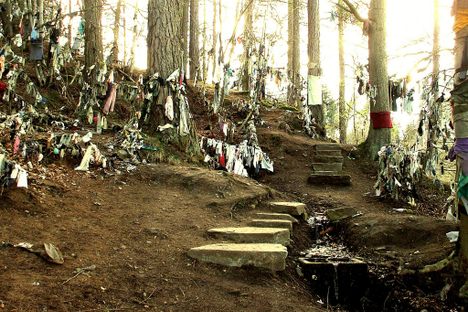 Clootie Wells: Where the Trees Are Weighed Down in Rotting Rags