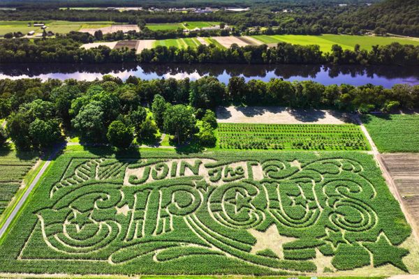 This year, longtime Massachusetts corn maze Mike’s Maze has a circus theme.