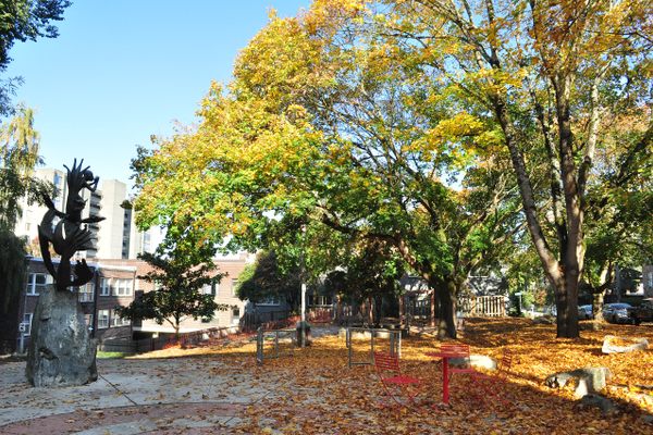 Tashkent Park