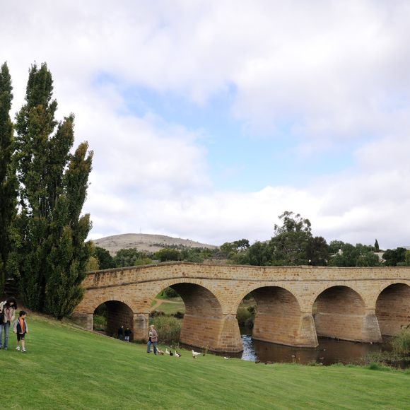 Tas cheap the bridge