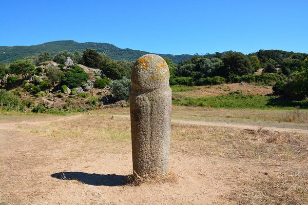 Menhir chilling in a field