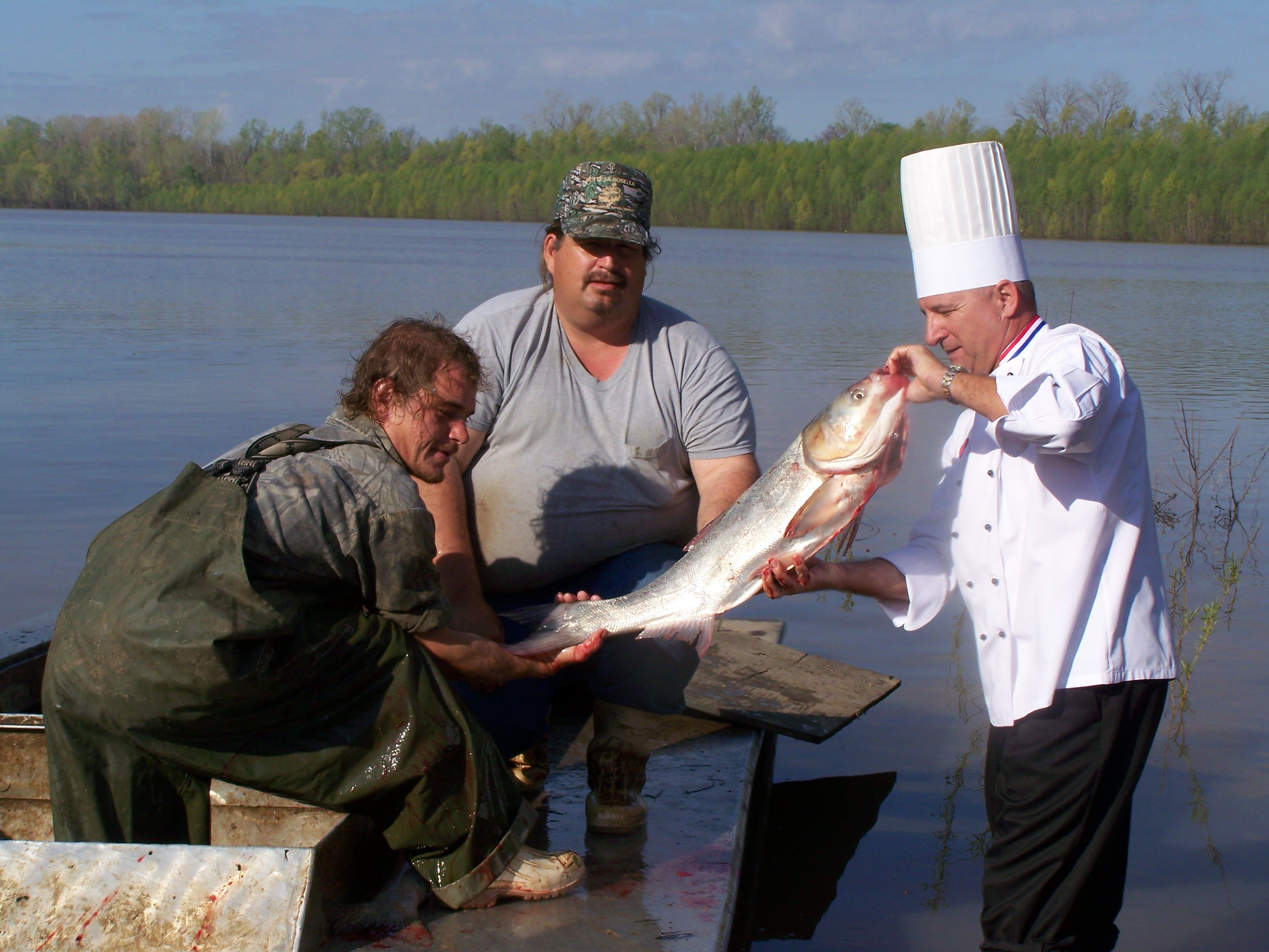 Invasive Species: Why Are Asian Carp a Problem?