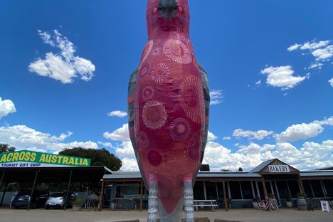 The Big Galah