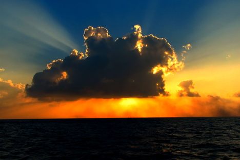 A New Form of Light Has Been Discovered