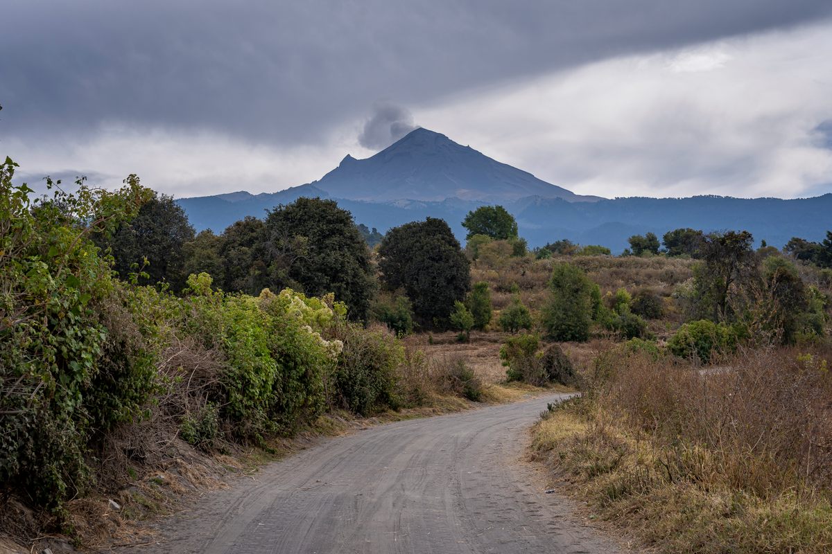 This rocky road leads up to the Joya Redonda Monarch Butterfly Sanctuary—a journey that takes an hour from Atlautla's town center.
