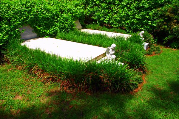 The Allman Brothers Grave