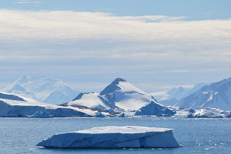 Antarctica was once covered in forests instead of ice. 