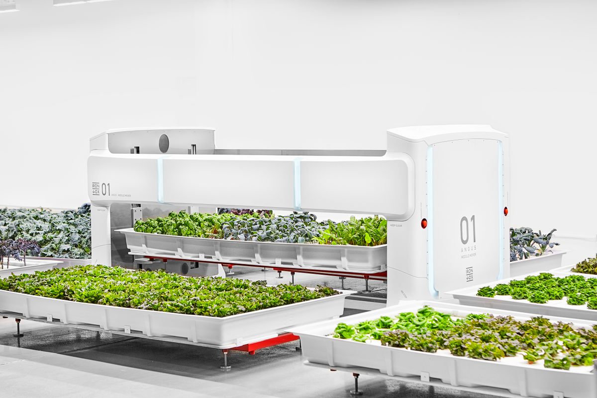 A 1,000-pound aluminum porter named Angus scans for crowding, carrying plant pallets to a separate robotic arm for rearranging.